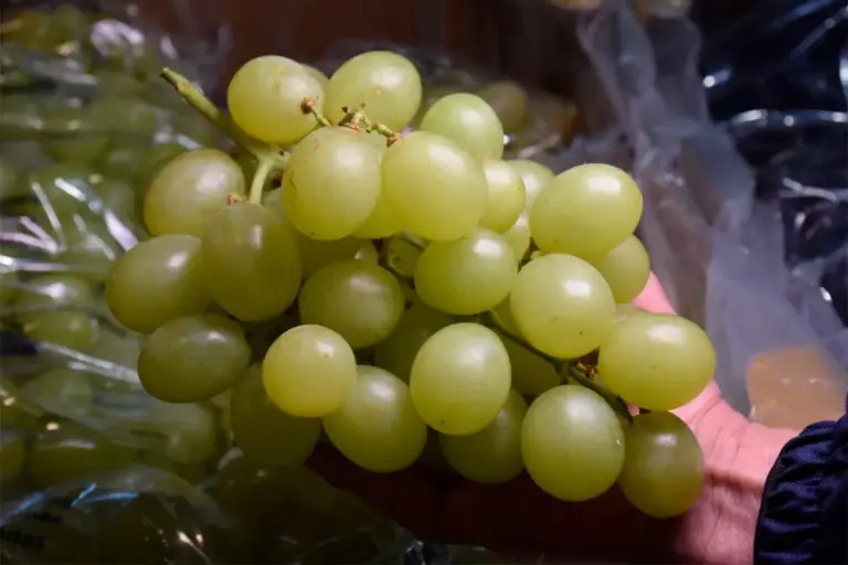 Un niño de dos años murió en una colonia al atragantarse con una uva