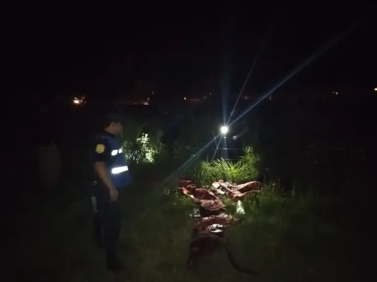 Detuvieron a dos personas que habían faenado varios terneros en la ruta 22, buscan a un tercer sospechoso.