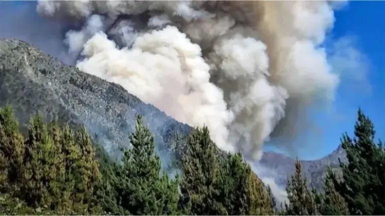 El fuego no cede en la Patagonia y se reactivó el foco en el Parque Nacional Los Alerces