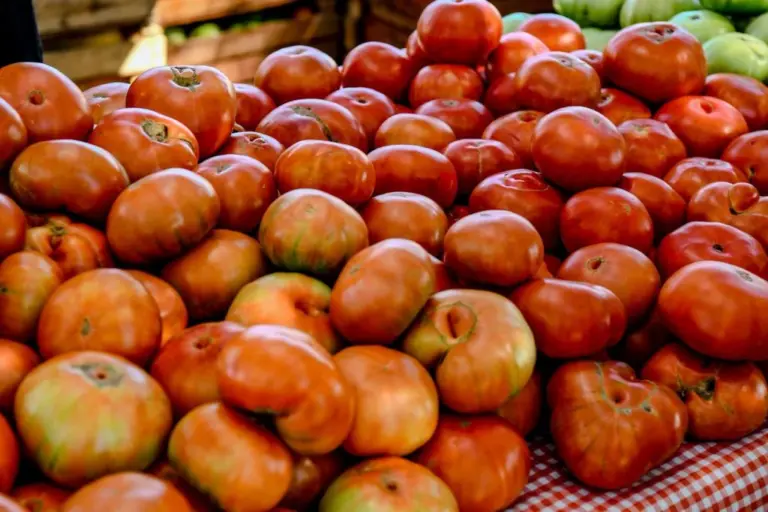 El Gobierno bonaerense cuestionó el récord de importaciones de tomate