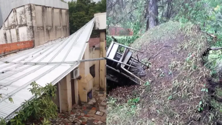 Temporal en Monte Caseros: voló el techo de un club y cayó un árbol en una parroquia