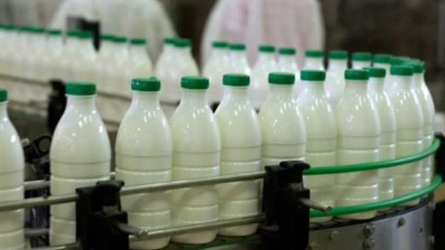 Por qué colapsan o se achican los líderes de la industria láctea como SanCor, Verónica o La Paulina