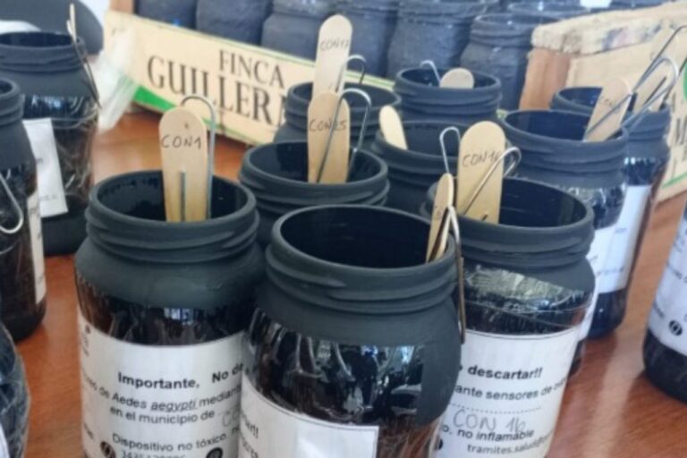 El Municipio de Paraná realiza monitoreo de ovitrampas y operativos de desacacharrización