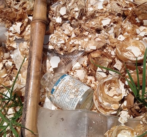 Hallan residuos patológicos cerca de un arroyo