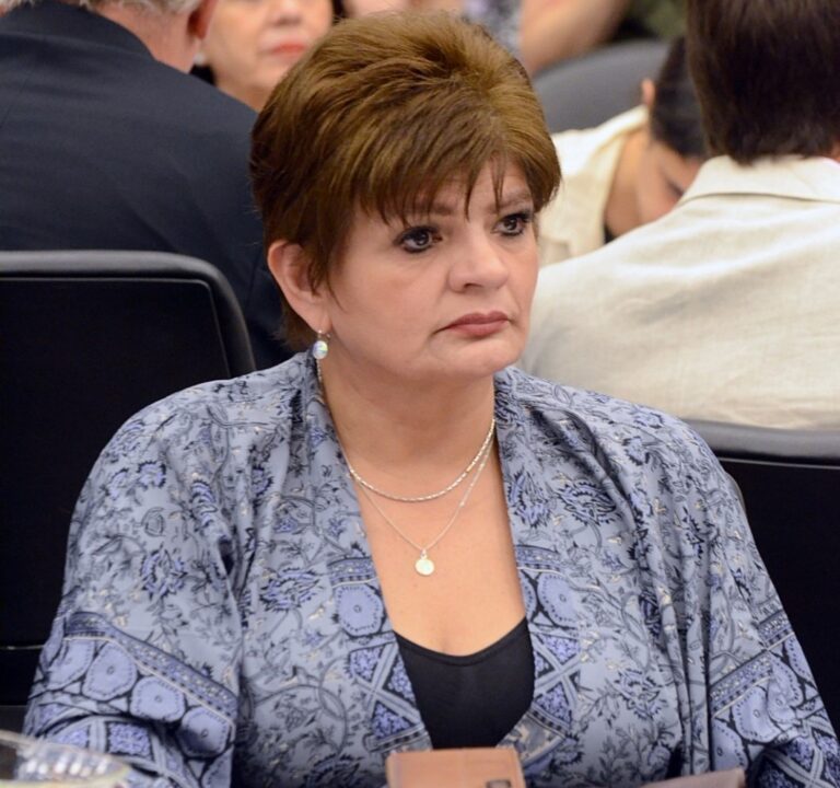 ZIGARÁN DESTACÓ EL ACUERDO MERCOSUR  UNIÓN EUROPEA TRAS LA MEDIA SANCIÓN EN DIPUTADOS