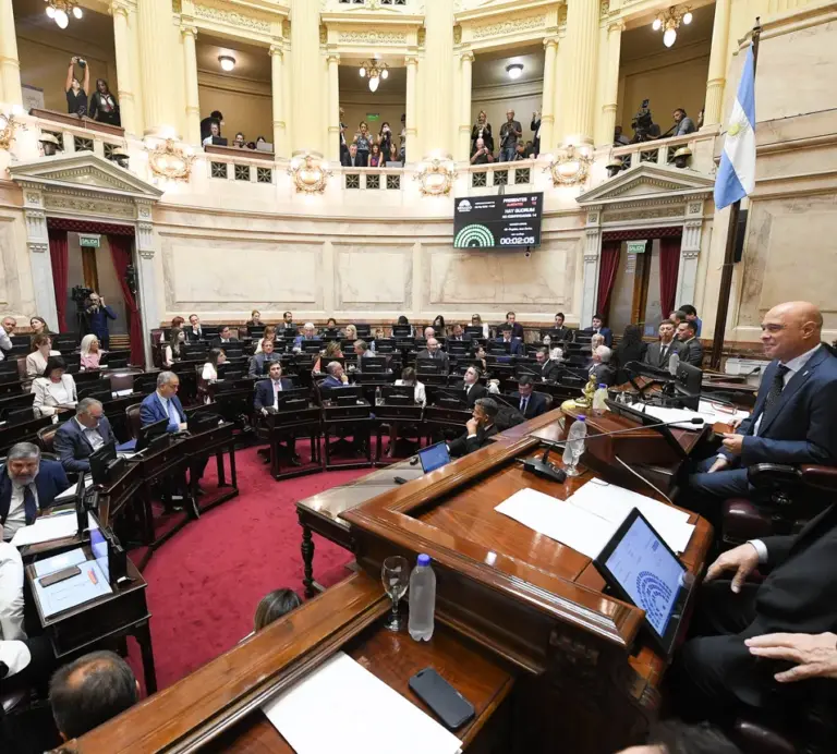 El Senado aprobó el Régimen Penal Juvenil y la edad de imputabilidad bajará a 14 años