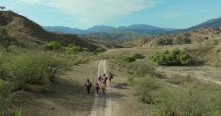 Nuestra Tierra. Lucrecia Martel y el cine como herramienta de identidad