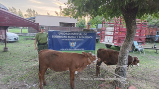 Efectivos de Gendarmería Nacional realizan control de transporte en ruta de Corrientes