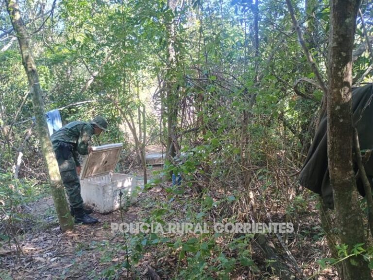Desmantelan campamento de presuntos cuatreros en Ituzaingó