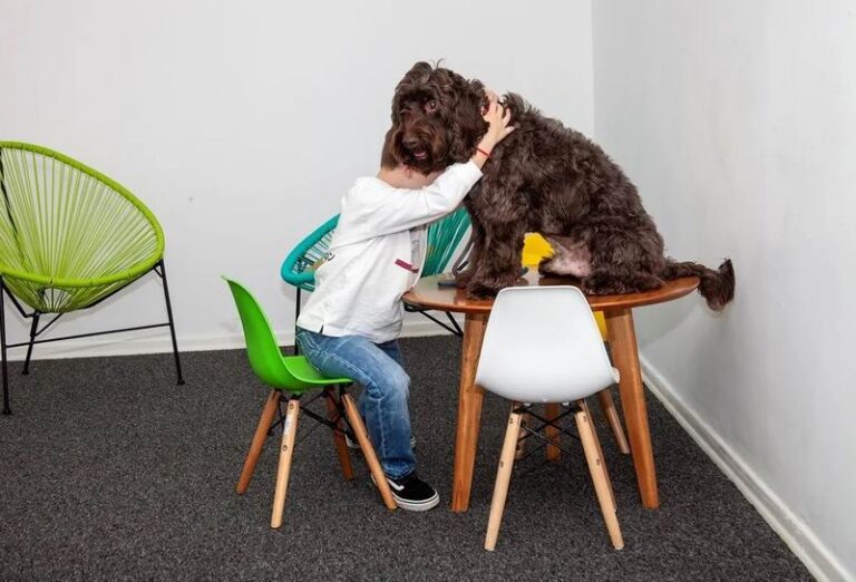 Ilustración de un perro de asistencia acompañando a un niño en un entorno judicial simulado.