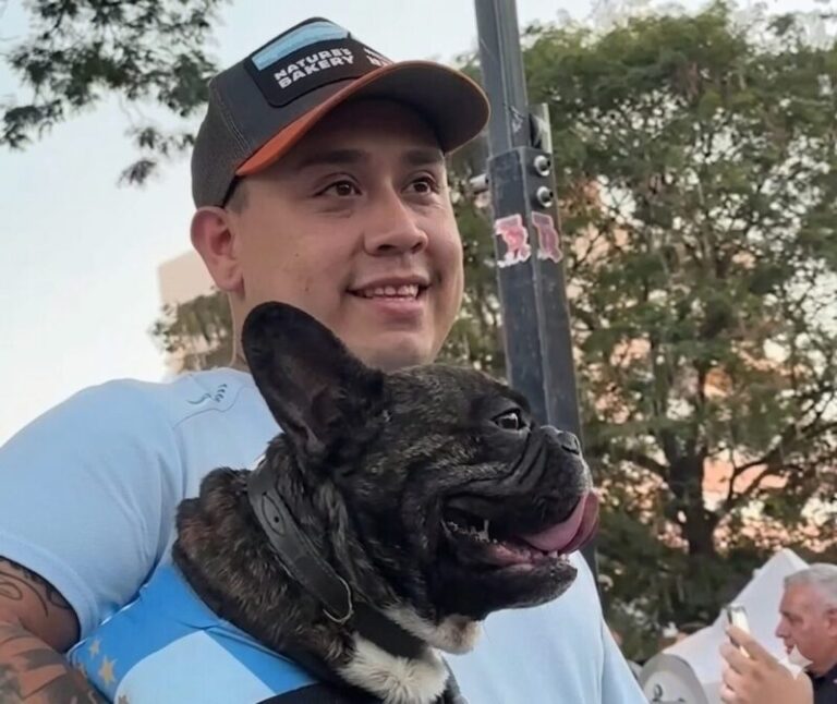 Perro y gato en una jornada de castración gratuita del programa Mascotas Saludables en Corrientes