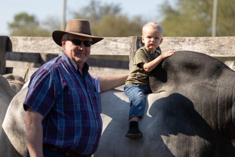 Helmut Klassen con ganado Brahman en una pista de juzgamiento