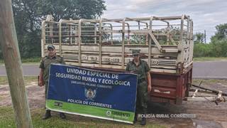 Efectivos policiales realizan control de transporte ganadero en camino rural de Corrientes