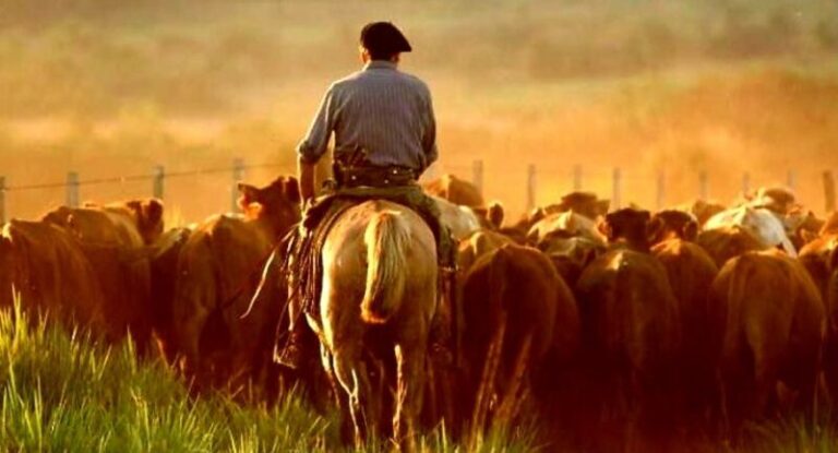 Trabajador rural en un campo, representando al sector beneficiado por la actualización de la prestación por desempleo del RENATRE.