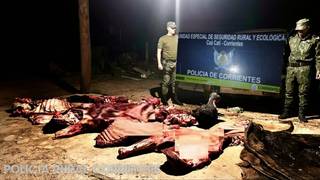 Operativo de control vehicular de la Unidad de Seguridad Rural en un camino de tierra