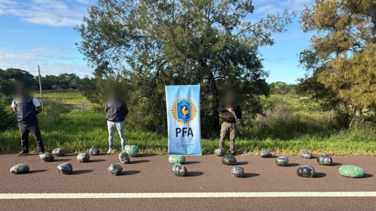 Operativo policial de la Policía Federal en la Ruta Nacional 12, Corrientes, donde se secuestró marihuana.