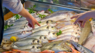 Pescado fresco en hielo en una pescadería, con detalles de ojos brillantes y carne firme.