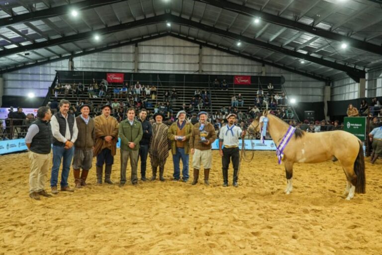 Caballos criollos en la pista de juras de la Exposición Nacional en la Sociedad Rural de Corrientes
