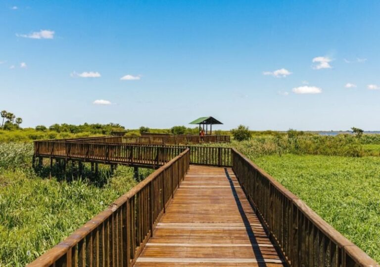 Turistas en los Esteros del Iberá, Corrientes