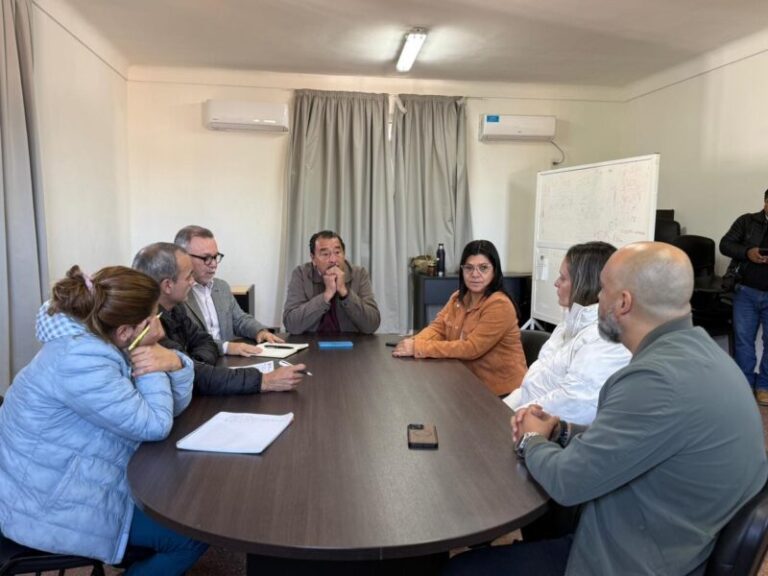 Reunión de equipos de Salud Mental y Policía de Corrientes para coordinar protocolo de crisis