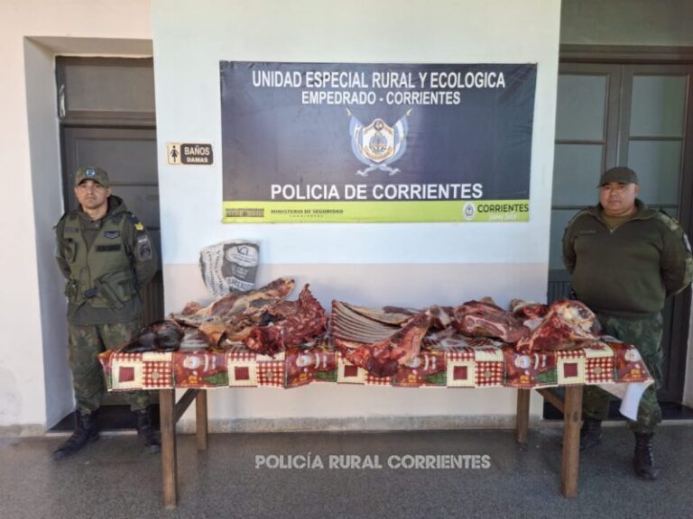 Carne vacuna decomisada sin sellos sanitarios en operativo policial en El Sombrero, Corrientes