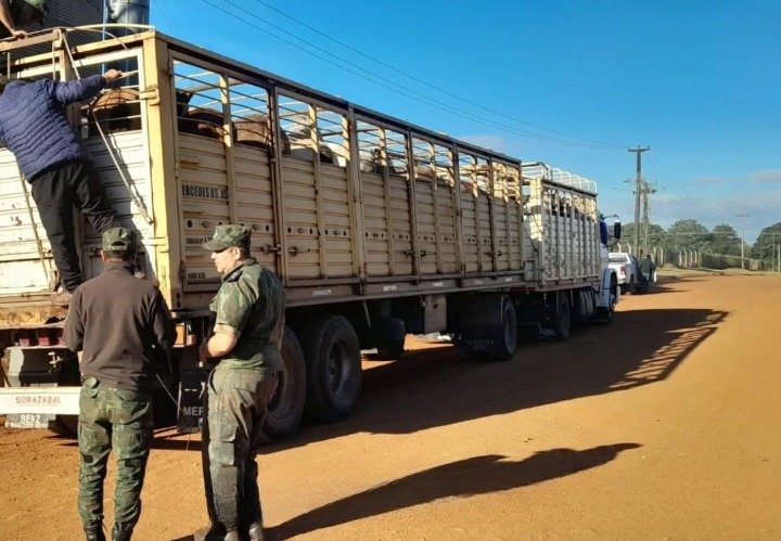 Camión jaula secuestrado con caballos en operativo policial en Corrientes