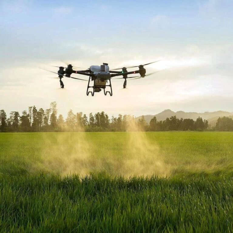 Dron sobrevolando un campo agrícola en Corrientes