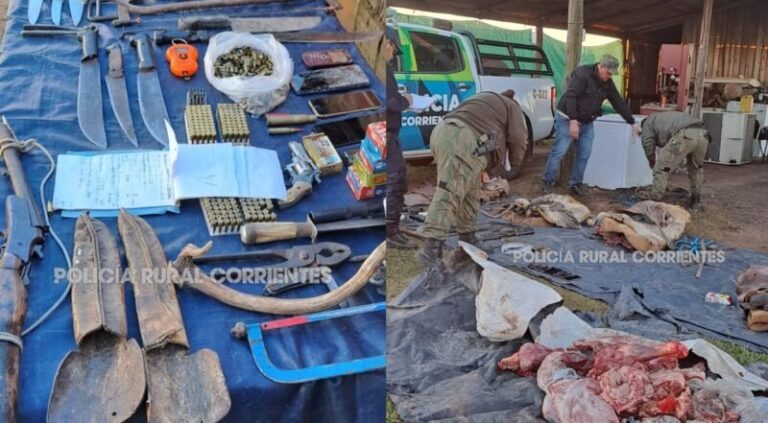 Carne en descomposición hallada en operativo contra abigeato en Corrientes