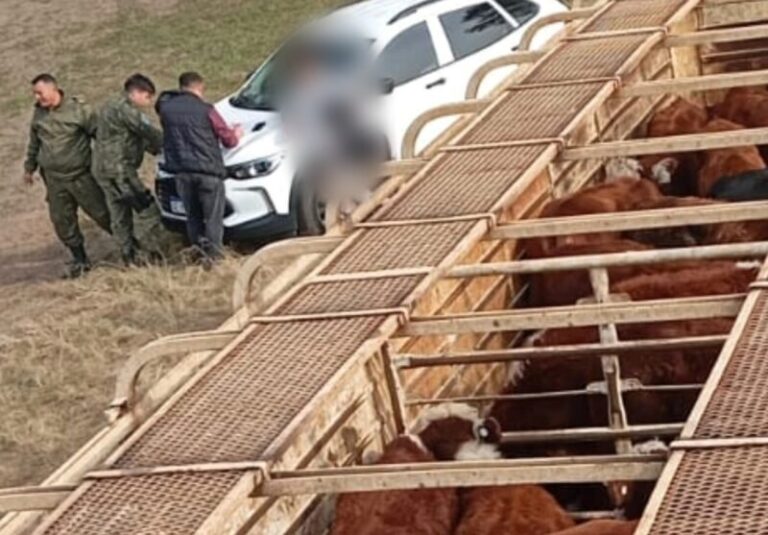Camión jaula interceptado en control vial en Ruta 12, Colonia Carolina