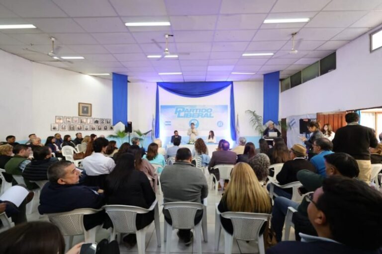 Eduardo Hardoy durante el acto de asunción como presidente del Partido Liberal en Corrientes