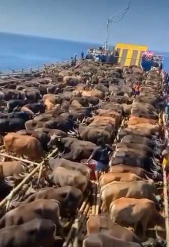 Imagen de la Hidrovía Paraguay-Paraná con un barco de carga