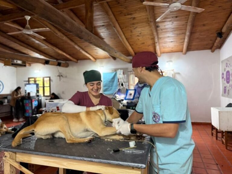 Operativo sanitario en Colonia Carlos Pellegrini con atención médica y veterinaria