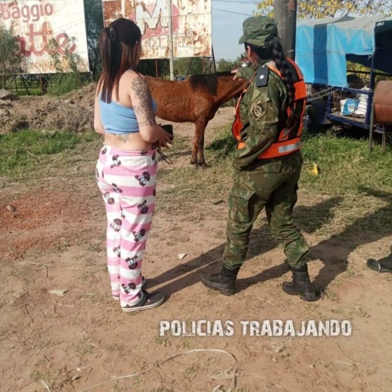Efectivos policiales revisan un caballo durante la peregrinación a Itatí