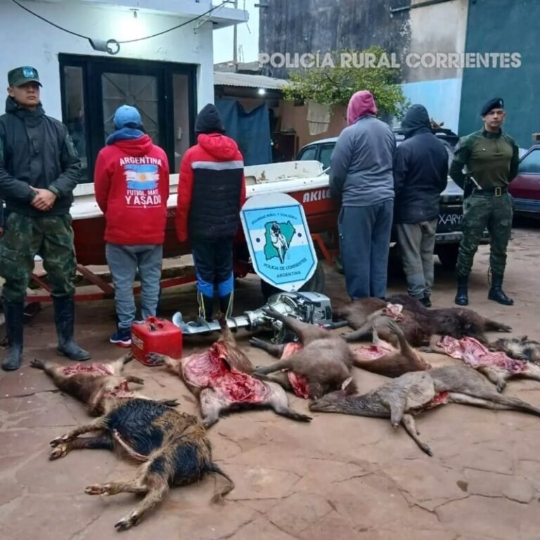Vehículo interceptado por la Policía Rural y Ecológica en Paso de los Libres con animales faenados