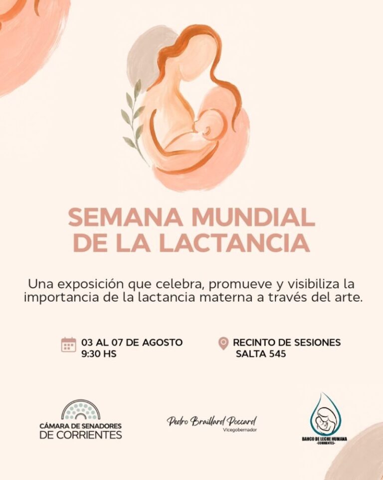 Exposición de trabajos de estudiantes sobre lactancia materna en la Legislatura de Corrientes