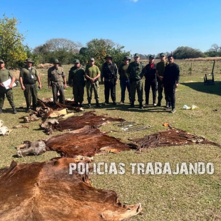 Procedimiento policial en establecimiento rural de Saladas con evidencias de faena clandestina