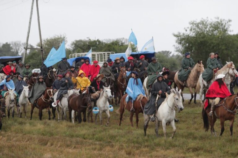 Caballo durante la peregrinación a Itatí