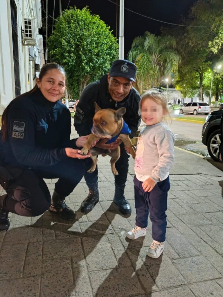 Perro bulldog francés recuperado por policía en San Luis del Palmar