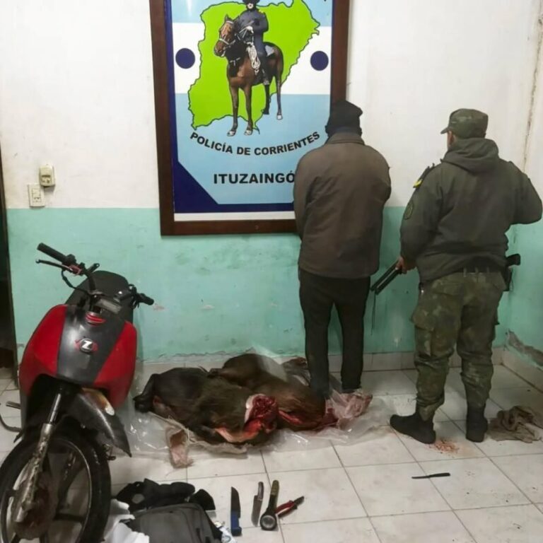 Policía Rural y Ecológica durante un operativo nocturno en los Esteros del Iberá