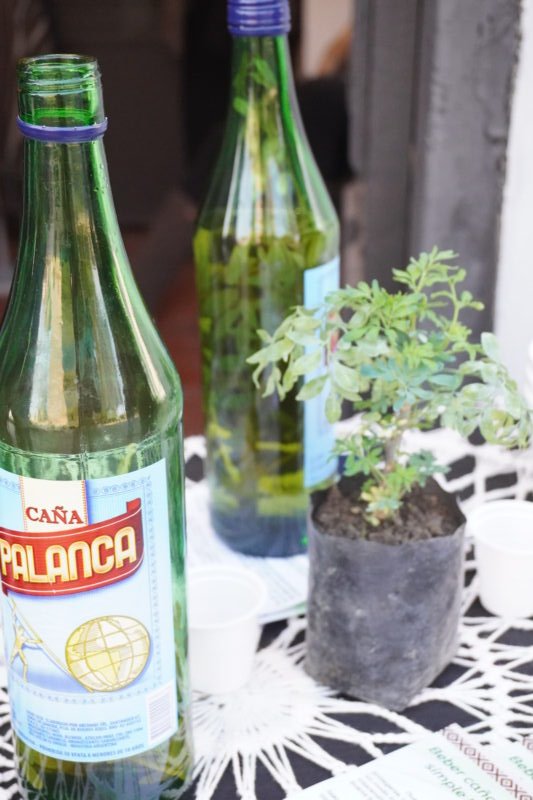 Personas tomando caña con ruda en un evento tradicional en Corrientes