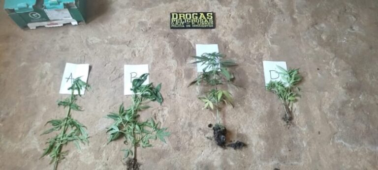 Efectivos policiales durante allanamiento en barrio de Paso de los Libres