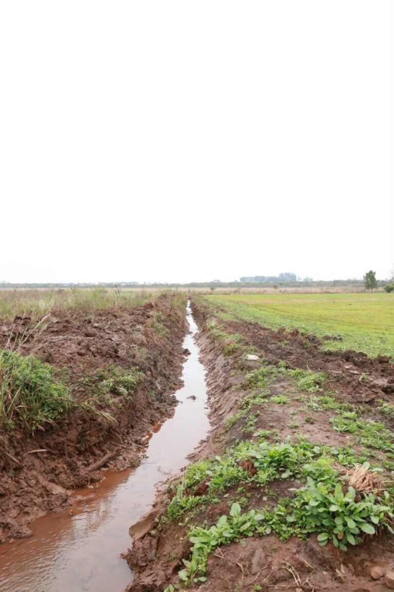 Obras de drenaje urbano en Gobernador Virasoro