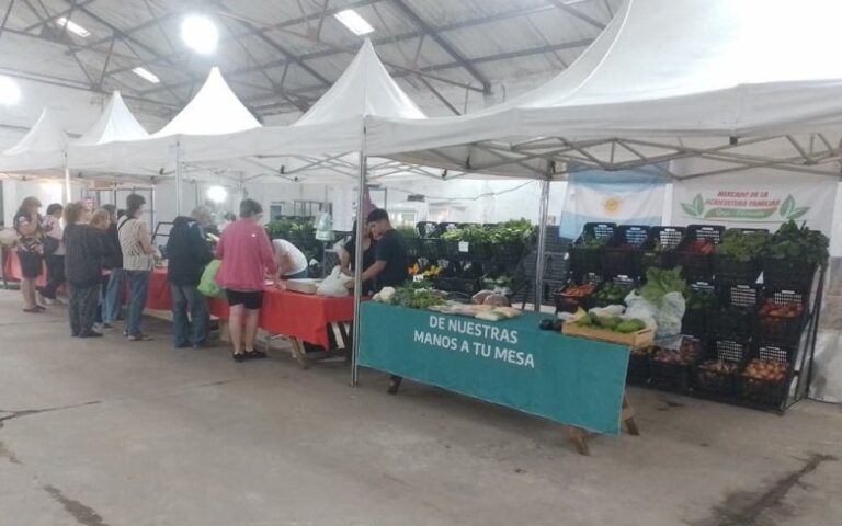 Puestos de venta en el Mercado de Productos de la Agricultura Familiar en Goya