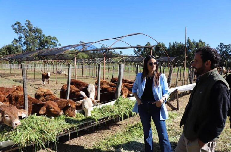 Autoridades de Bella Vista durante la recorrida por el emprendimiento ganadero en Tres de Abril