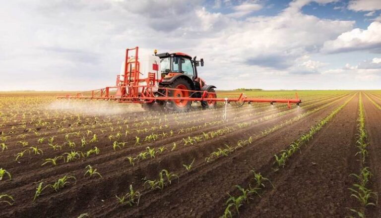 Gráfico de evolución del crédito productivo en el NEA con foco en Corrientes