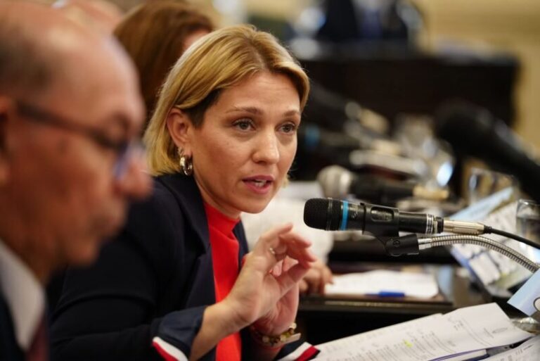 Sesión en la Cámara de Diputados de Corrientes