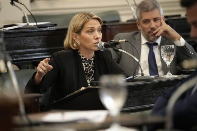 Diputada provincial Marlén Gauna durante una sesión legislativa