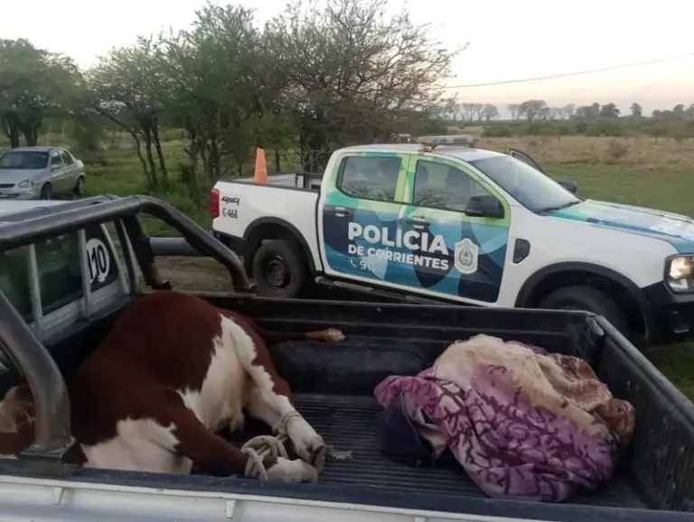 Camioneta Toyota Hilux interceptada en el Puesto Caminero Nº 1 de Mercedes con un ternero atado en la caja