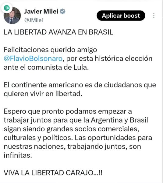 Javier Milei y Flávio Bolsonaro