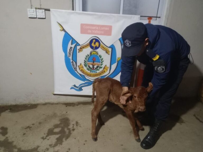 Camino rural en Lomas de Vallejos donde ocurrió el procedimiento policial